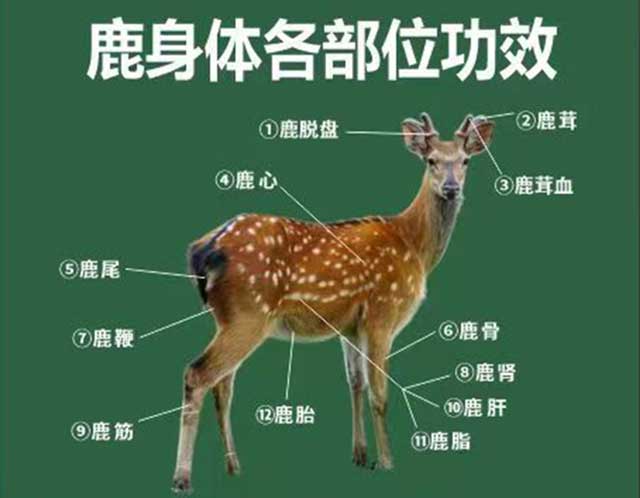 1726894006634991.jpg 00.jpg